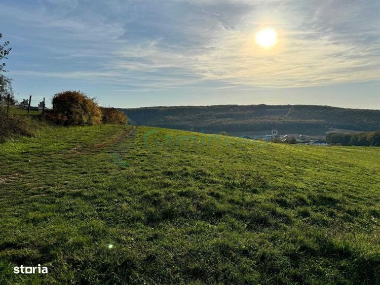 Teren de vanzare in Betfia, 5487 mp intravilan, Bihor, Gaminvest-V4571 - 4