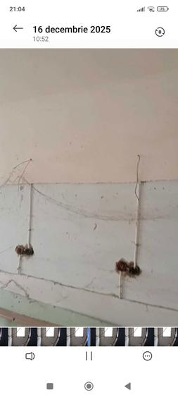 Apartament 3 camere parter , cel mai mic pret pe metru patrat. - 5