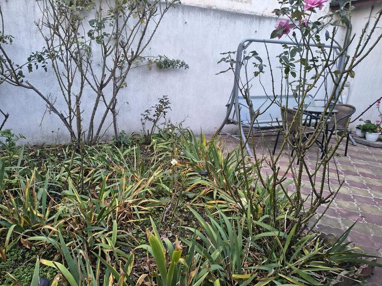 ULTRCENTRAL CASA CU 3 CAMERE ST 130 MP PRET 130000 EURO - 8