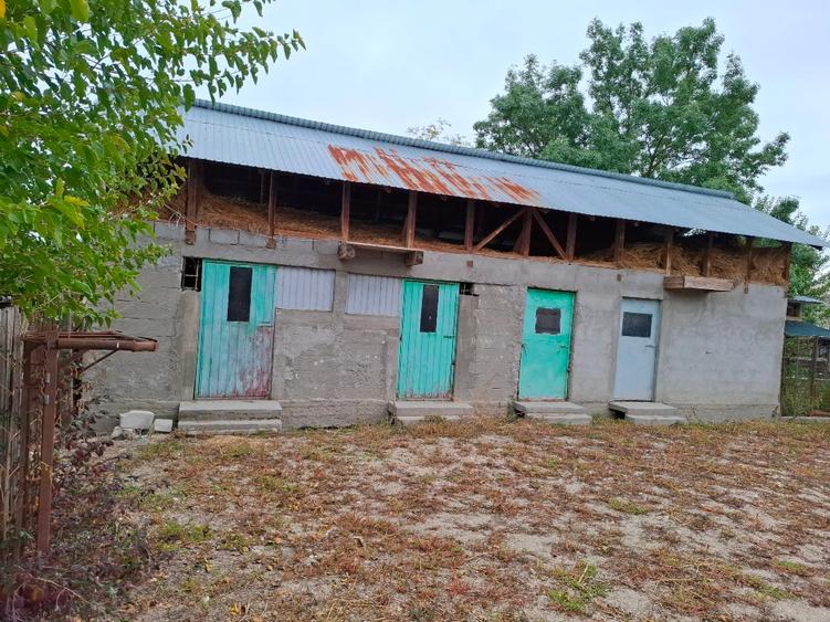 Oportunitate rară: gospodărie completă cu livadă și teren generos în Crâmpoia –  - 2