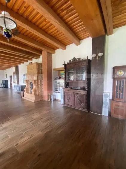 Conac de vanzare 7 camere, baie proprie, crama, ciubar ?i poten?ial - 10