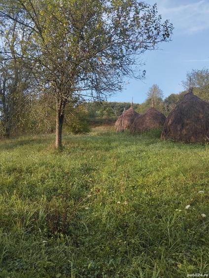 Vand casa zona linistita - 3