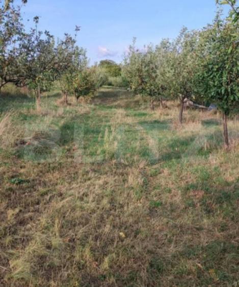 Teren cu livada 120 pomi,imprejmuit 33Ari,intravilan,zona Na - 3