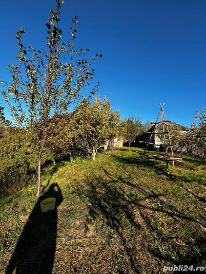 Casa batraneasca + teren 5000mp - 5