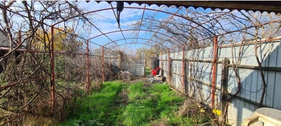 Teren 15 km de Bucuresti 2 constructii, fundatie 90mp, put apa, fosa.. - 8