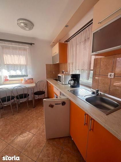 Casa tip vila cu 4 apartamente de vanzare Sovata, Mures - 17