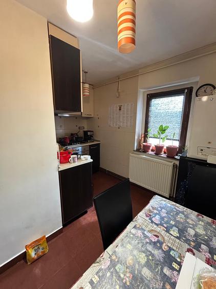 GARSONIERA DECOMANDATA - DEZROBIRII // INEL I - 4