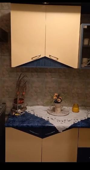 Lacul Tei,Teiul Doamnei vav Parcul Tei - 4