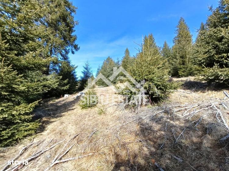 Teren de vanzare in zona montana a jude?ului Alba - 9