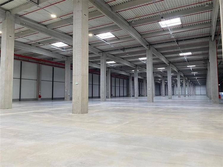 Inchiriere depozit/hala/spatiu industrial Chitila - Centura, Ilfov - 8