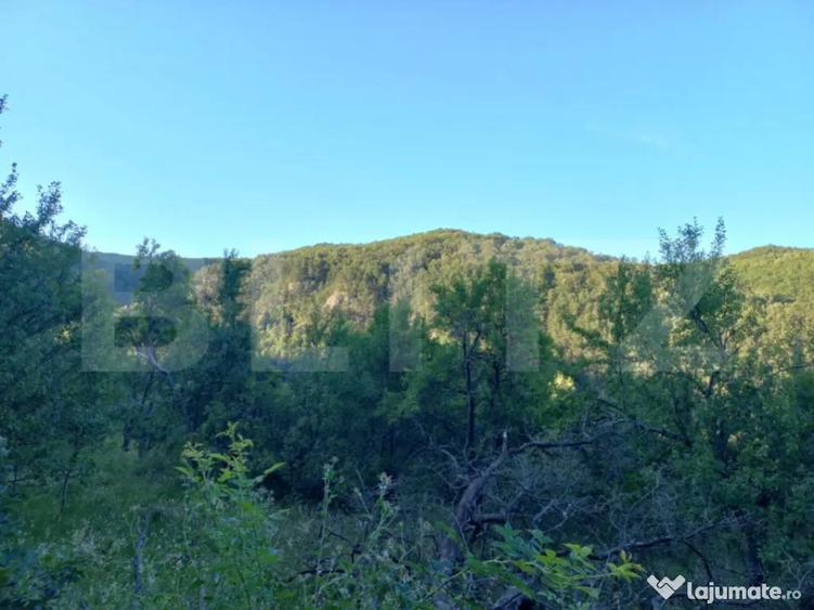 Teren intravilan 4.175 mp in Inuri ideal cabana/casa - 3