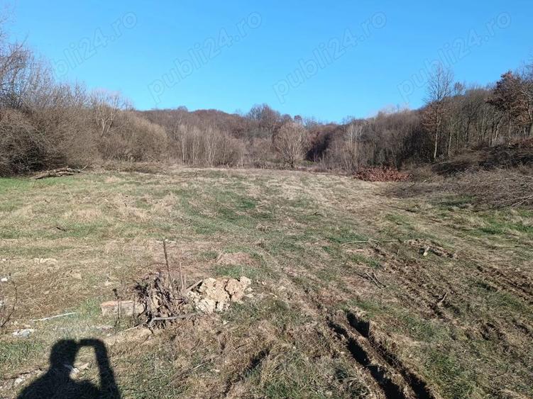Vand 5000 mp teren intravilan, Curtea de Arges, iesire spre Valcea - 5