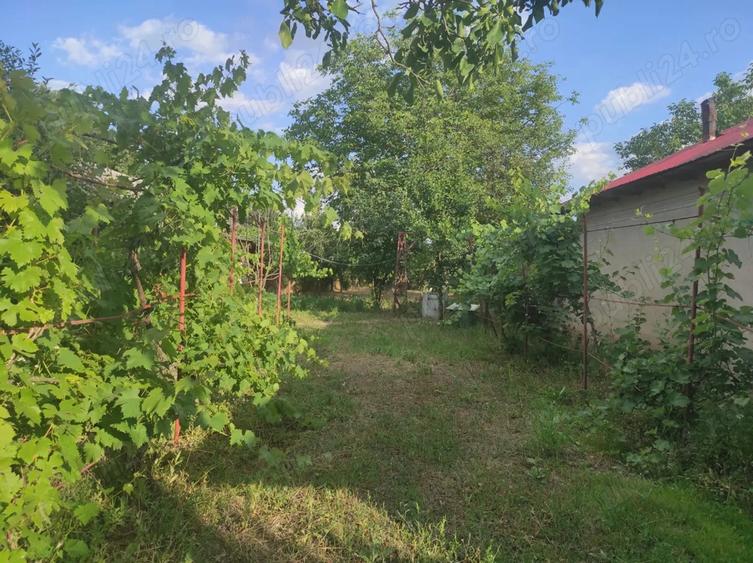 Vanzare casa - Licuriciu Calinesti Teleorman - teren 800mp - 10