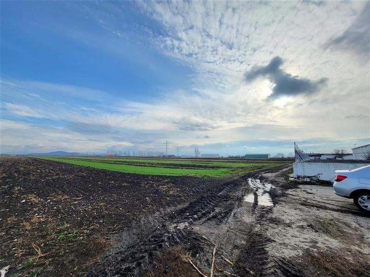 Vanzare Teren pretabil constructie hale, 28.100 mp, Halchiu - 4