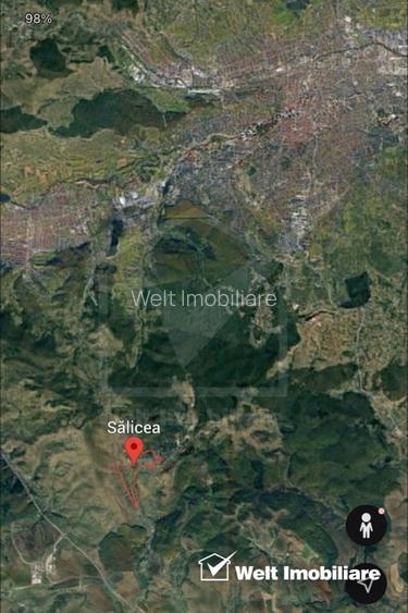 Teren 1725mp/extravilan, Salicea Teren 1725mp/extravilan, Salicea