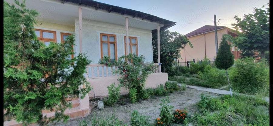 Vand casa in plopana - 9