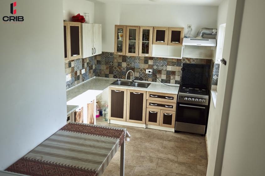 Casa de vacanta sau afacere profitabila? Ambele optiuni intr-o locatie - 10