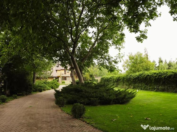 Buftea teren superb 800 mp lotizare posibila + AConstruire P+E - 1