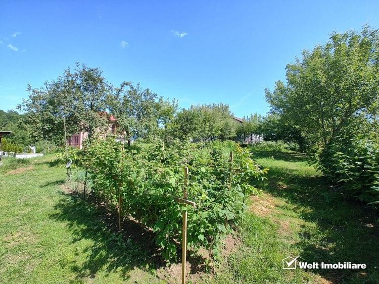 Oaza ta de liniste si verdeata, teren Faget cu parau in curte - 2