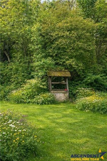 Domeniu verde autentic,  +5.000mp, front la DJ, Valcele, Brasov -- Covasna - 3