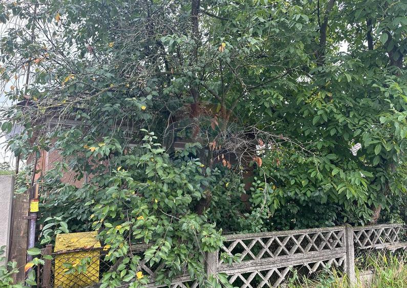 30 arii TEREN INTRAVILAN cu o GOSPODARIE veche - 5