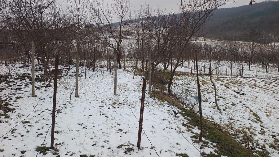 Teren 704 mp Breazu – asfalt + utilități – priveliște spre pădure – ideal casă - 3