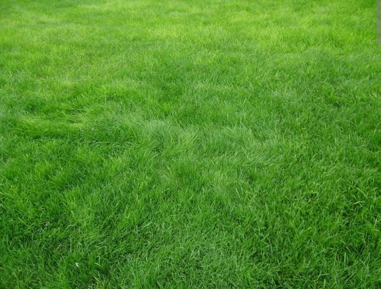 Constanta- teren intravilan - 1