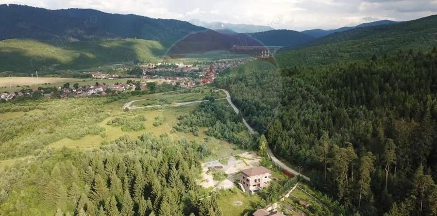 Teren Sacele / Strada Valea Larga 2000 mp - 10