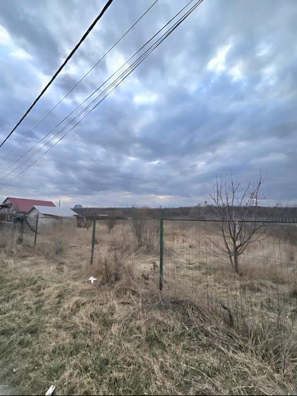 Teren Construcții intravilan de 6309 mp, în Izvoare