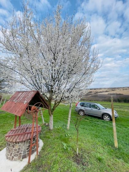 Casă individuală cu 2 camere cu Teren 2499 Mp în Blaj