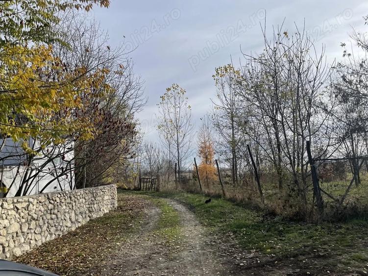 Teren de 953 mp, în Săteni