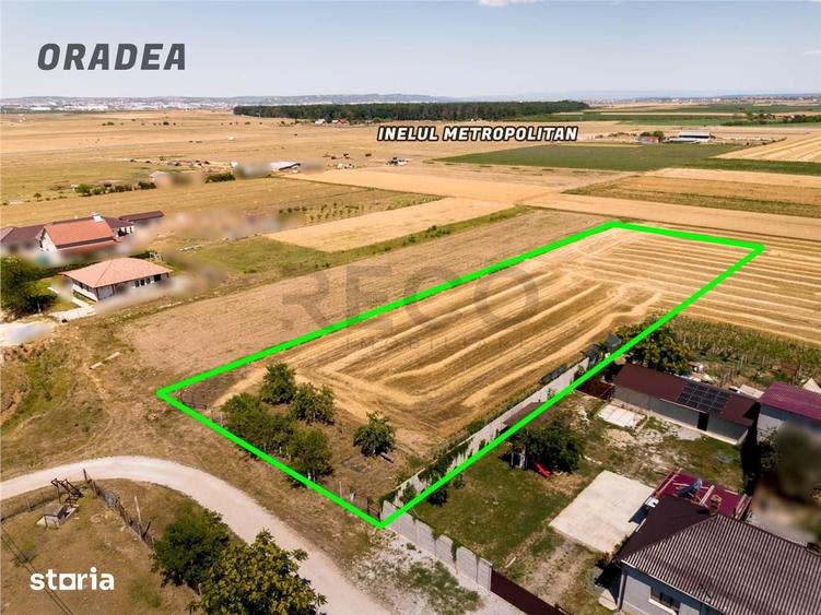 RECO Teren industrial in Nojorid la doar 6km de Oradea - 8