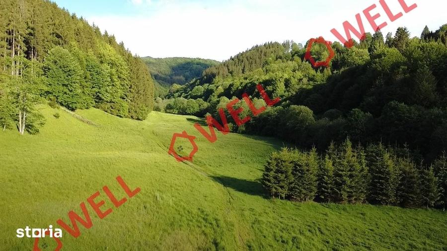 Teren de 57000 mp, în Vama Buzăului