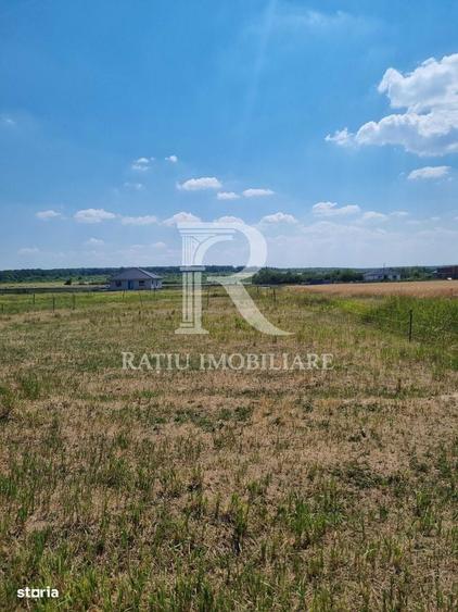 Teren intravilan | Cihei | Bihor - 2