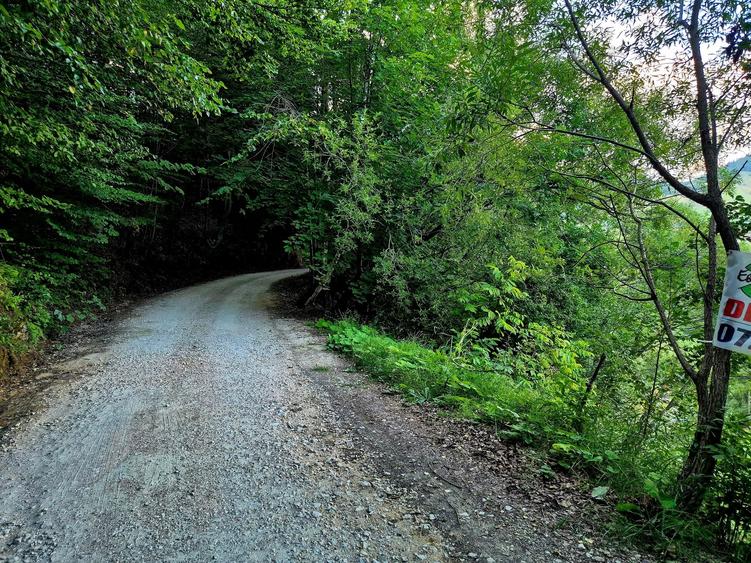 Teren agricol extravilan de 8635 mp, în Peștera