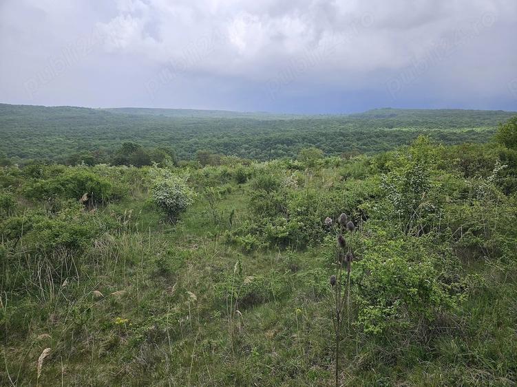 Teren de 2900 mp, în Corușu