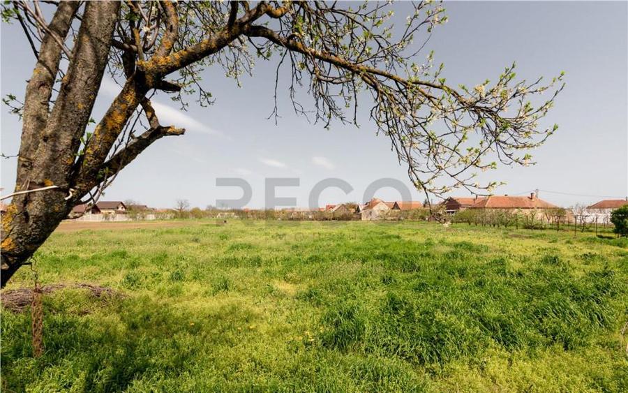 RECO casa cu teren generos in Santion - 36