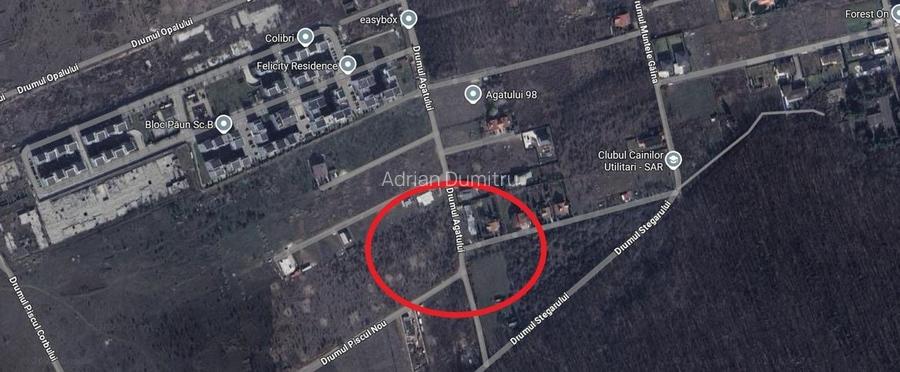 TEREN 1.000 mp langa padure pentru vila