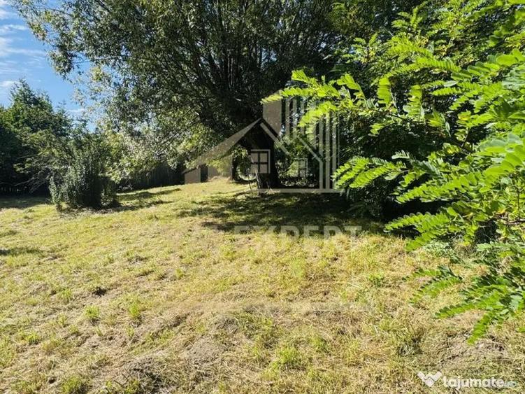 TEREN INTRAVILAN 3234 MP LERE?TI VOINE?TI ARGE? - 6