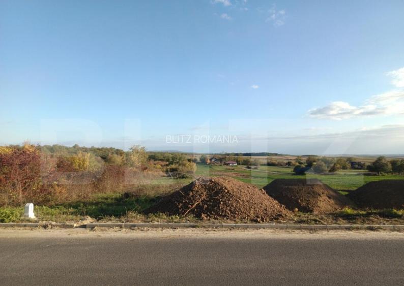 Teren intravilan de vanzare, 1918 mp, Ardud