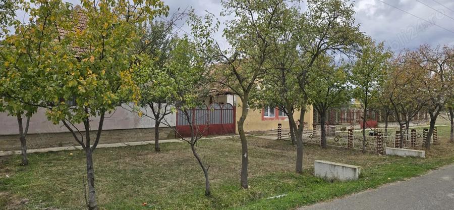 Casa comuna Fibis - 5