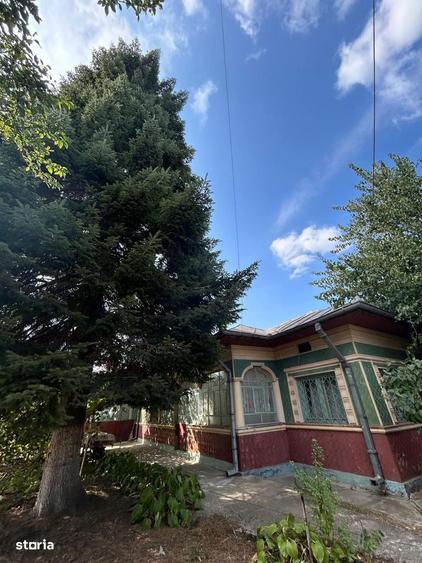 CASA CU TEREN DE VANZARE IN FRUMUSANI, LA 20 DE MINUTE DE BUCURESTI - 2