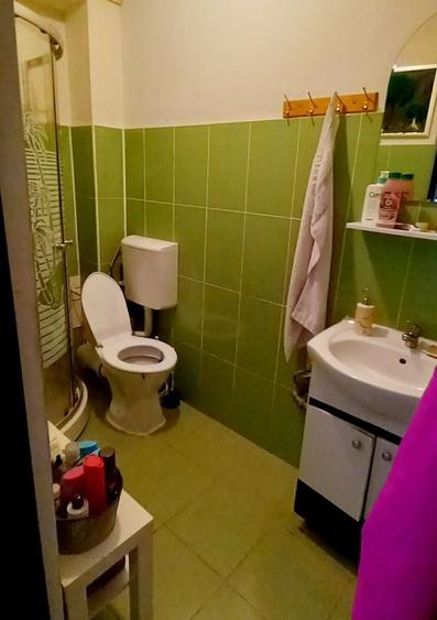 Apartament tip studio mobilat+ curte proprie- Dimitrie Leonida - 12