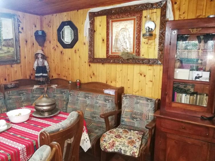 vanzare pensiune, centrala proprie pe lemne/carbuniproprie pe lemne/carbuni - 17