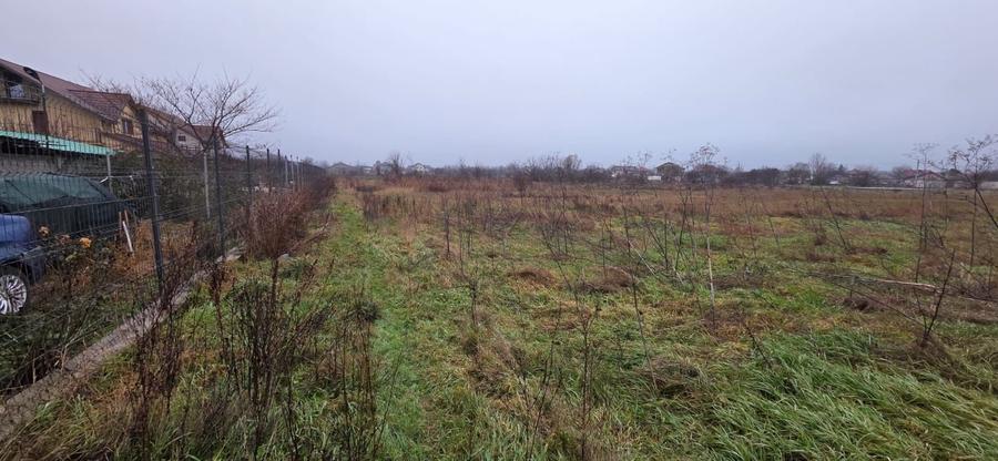 Teren 5000 mp 1 decembrie - strada Oituz - 4