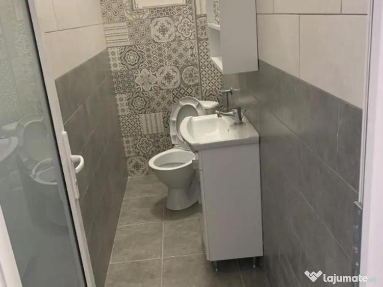 Casa cu destinatie comerciala 335 mp - 6