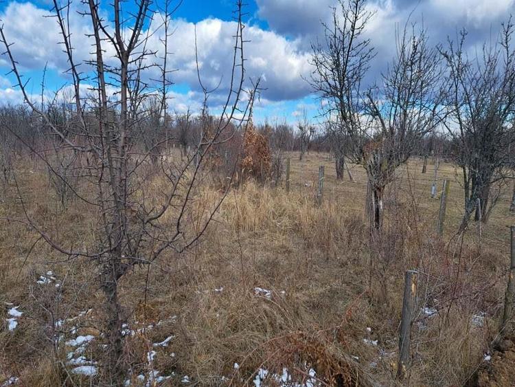 Gospodarie taraneasca in Cuca, Arges - ZERO comision la cumparator! - 16