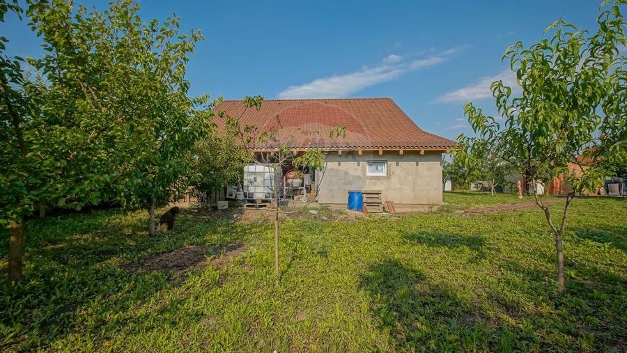 Personalizeaza casa in Harman! Teren 500 metri patrati - 6