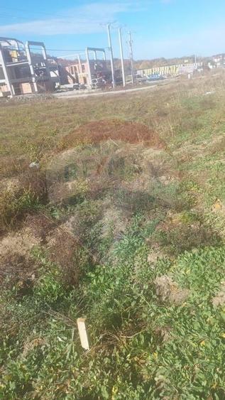 Teren intravilan de vanzare in Hidiselul de Jos, jud.Bihor - 11
