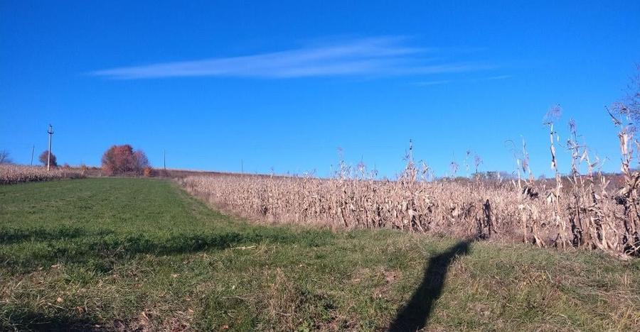 Teren, loc de casa 1800 mp - 9